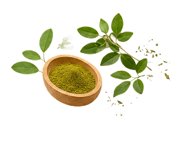 Herbal powder in a wooden bowl with fresh leaves